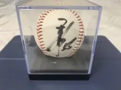 埼玉西武ライオンズ 記念グッズ