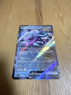 2025年最新】ハイクラスパックテラスタルフェスEXの人気アイテム