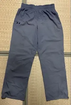 Item thumbnail for item fedba148-8c03-4fdd-a0a5-8239a7994e89