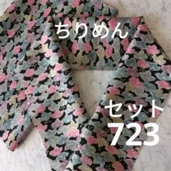 Item thumbnail for item b389e6b6-e988-42b9-9dda-20b078440344