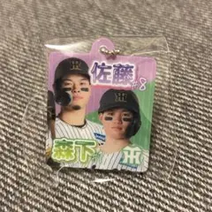 阪神タイガース 2ショットアクリルキーホルダー 佐藤輝明 森下翔太 (217)
