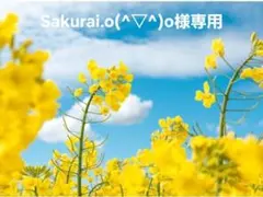 Sakurai.o(^▽^)o様専用ページ