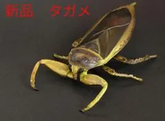 Item thumbnail for item 40fd987b-17f0-4727-b30f-e5502e4da34f