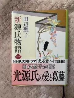 新源氏物語 田辺聖子著