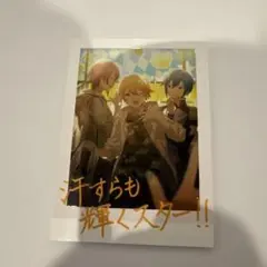 2026年最新】プロセカ 思い出夏フォトアルバム&カードセットの人気