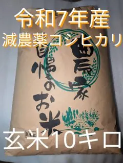 令和7年産　減農薬コシヒカリ　玄米10キロのサムネイル