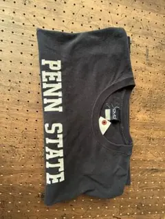 Gildan PENN STATE Tシャツ 紺色　大きめ　中古