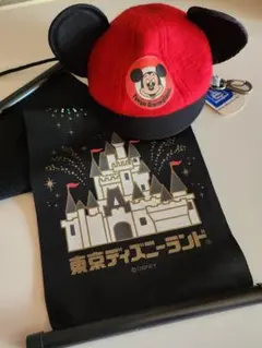 レア‼️タグ付‼️東京ディズニーランド ミッキーハットポーチとタペストリーセット