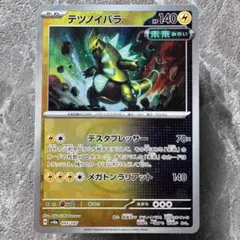 2026年最新】terastal festivalの人気アイテム - メルカリ