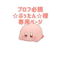 【プロフ必読☆ぶぅたん☆ 様】専用ページ