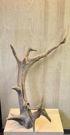 大型 流木オブジェ 自立式 高さ88cm 天然素材 インテリア 店舗什器/水槽