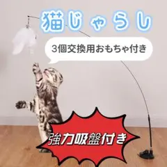 猫じゃらし 吸盤式　手持ちok 一人遊び　面白い　3個交換用おもちゃ付き　新品のサムネイル