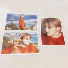 Dfesta ウジ ポストカード セット