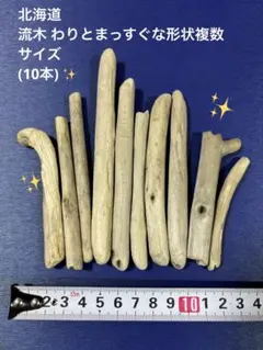 No.110 北海道・流木 わりとまっすぐな形状複数サイズ(10本)