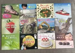 サンチャイルド ビッグサイエンス　12冊セット　2023.4〜2024.3