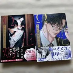 Item thumbnail for item 8db4dada-4f63-4b3c-85f6-b63ef2968553