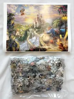 【未開封　箱無】ディズニー パズル 500P トーマス・キンケード 美女と野獣