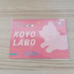 ホロライブ 博衣こより 助手くん証明書
