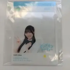 クオッカ様 リクエスト 2点 まとめ商品