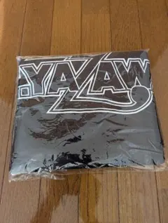 2025年最新】矢沢永吉 ブランケットの人気アイテム - メルカリ