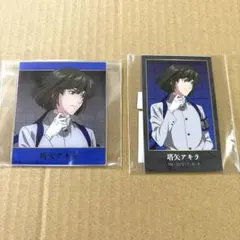 2026年最新】塔矢アキラ カードの人気アイテム - メルカリ