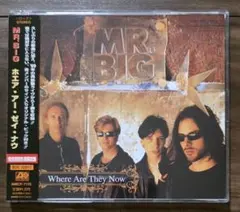 ミスター・ビッグ / 風にまかせて 輸入盤4曲入りCDシングル - メルカリ