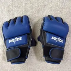 PRIDE OFFICIAL グローブ LL プライド Winningウイニング PRIDE Official Gloves LL Winning Blue Used | eBay