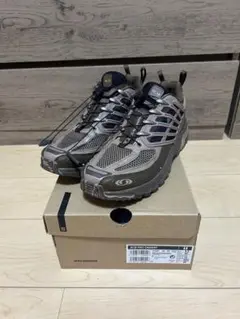 SALOMON ACS PRO DESERT 28cm