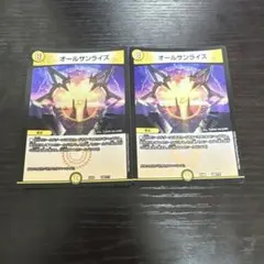 オールサンライズ2枚セット 反りあり EX08 160/??? 2020