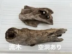 流木　２点セット　空洞あり