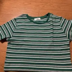 WEGO リブTシャツ Lサイズ