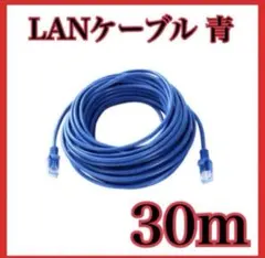 【新品】LANケーブル CAT5e 事務所　自宅 ネットワーク 安定 30m 青
