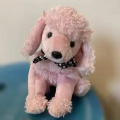 tyぬいぐるみ 犬 ピンク色のプードル レア　2001年
