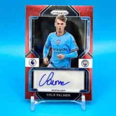 2025年最新】 palmer サインの人気アイテム - メルカリ