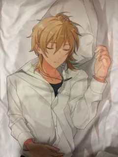 2026年最新】あんさん 抱き枕カバーの人気アイテム - メルカリ