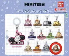 seventeen セブチ　miniteen めじるしアクセサリー　ディノ