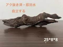 HX-317 流木 マシンガンウッド ホーンウッド アクアリウム ブランチ