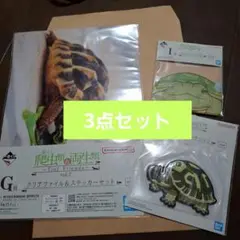 カメ グッズ 3点セット