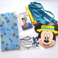 ディズニー　バケーションパッケージ　5点セット　まとめ売り