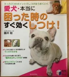 Item thumbnail for item a61f6d38-23fa-4356-b88e-1084723b700c