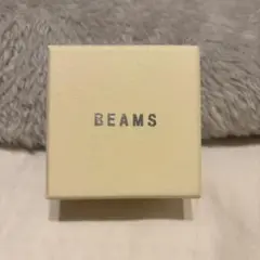 BEAMS ロングチェーンピアス