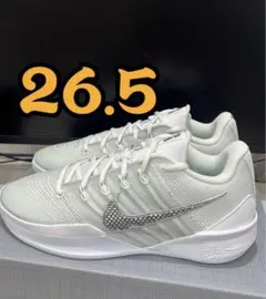 ◇本日限定価格 NIKE サブリナ 3 ミントフォーム US W9 日本未発売