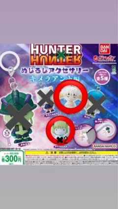 HUNTER x HUNTER めじるしアクセサリー