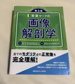 Item thumbnail for item dff97d03-3db3-400e-8c4f-9e252810d908