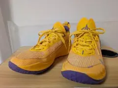 Li-Ning JB2 Jimmy Butler 2 バッシュ25.0cm