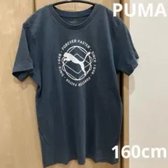 PUMA Tシャツ160cm