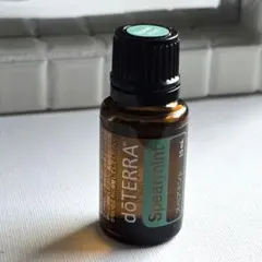 2025年最新】ﾄﾞﾃﾗの人気アイテム - メルカリ