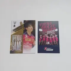 Vコレリアルカード グレベア 柳田将洋 選手 Jスポカード セット