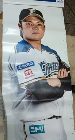 メ*ネ様 非売品佐野恵太 DeNAベイスターズ ZETT 超特大タペストリー 未