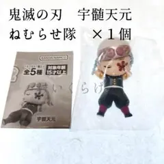 鬼滅の刃　宇髄 天元　ねむらせ隊